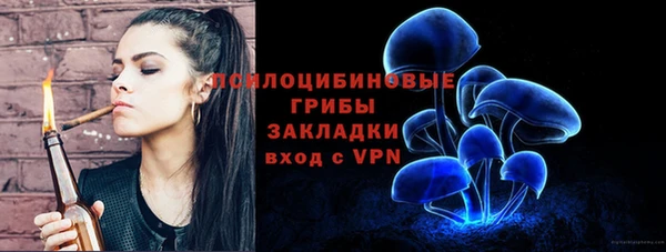 2c-b Липки