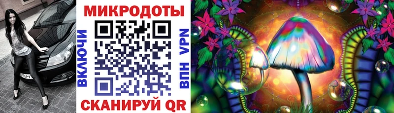 как найти наркотики  Новомосковск  Галлюциногенные грибы Cubensis 