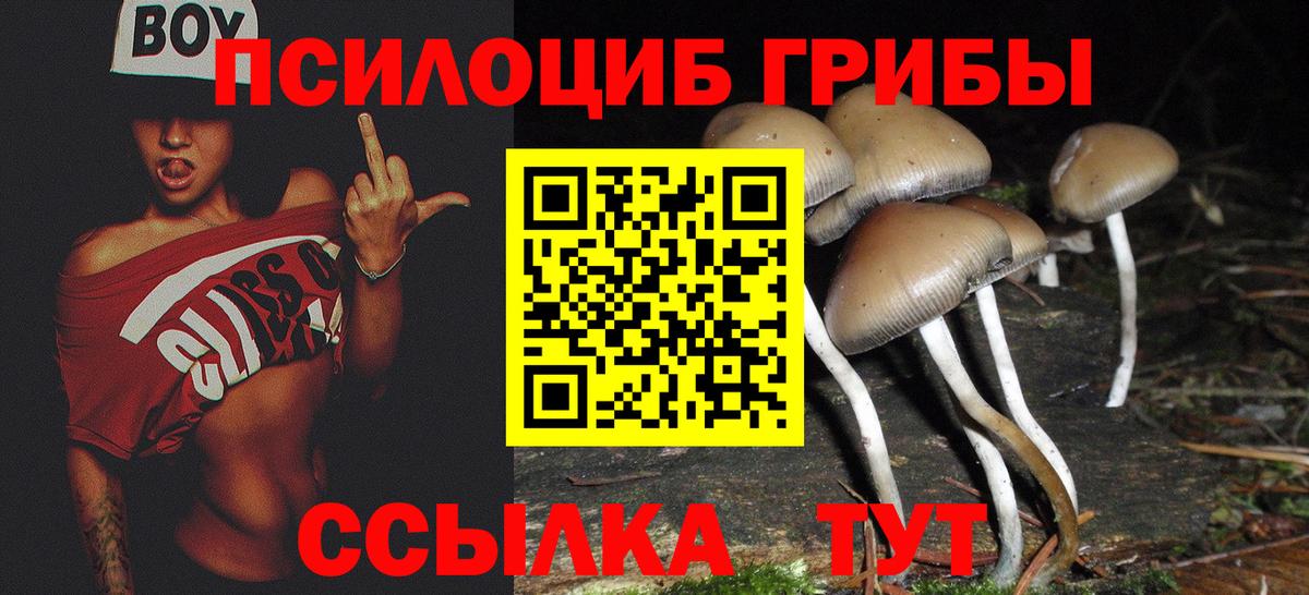 Псилоцибиновые грибы ЛСД  Вход с VPN  Новомосковск  Псилоцибиновые грибы Magic Shrooms 
